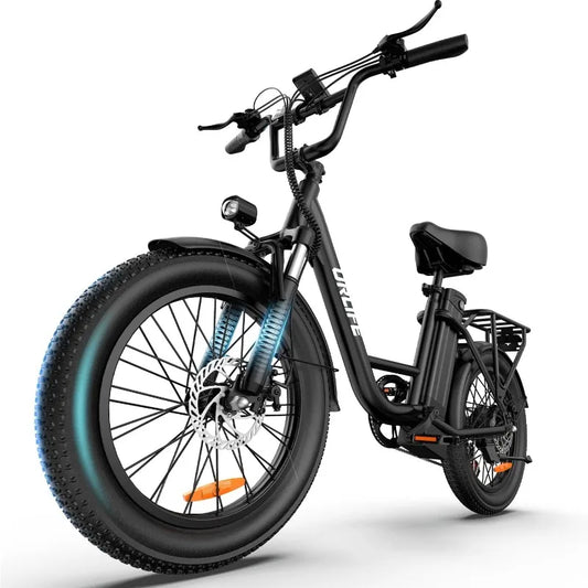 Hign Concerned Electric Bike For Adults 1000W Peak Motor