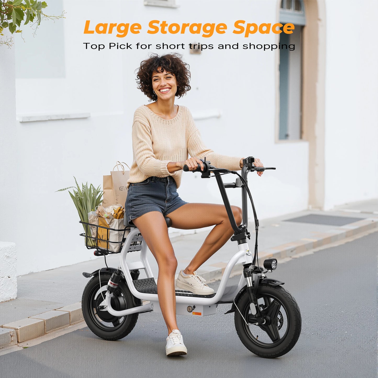 Varun P1 Electric Scooter 500W 48V Battery Foldable