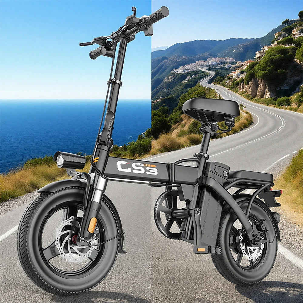Toofly Electric Folding Ebike GS5 250W with 31 60km Range