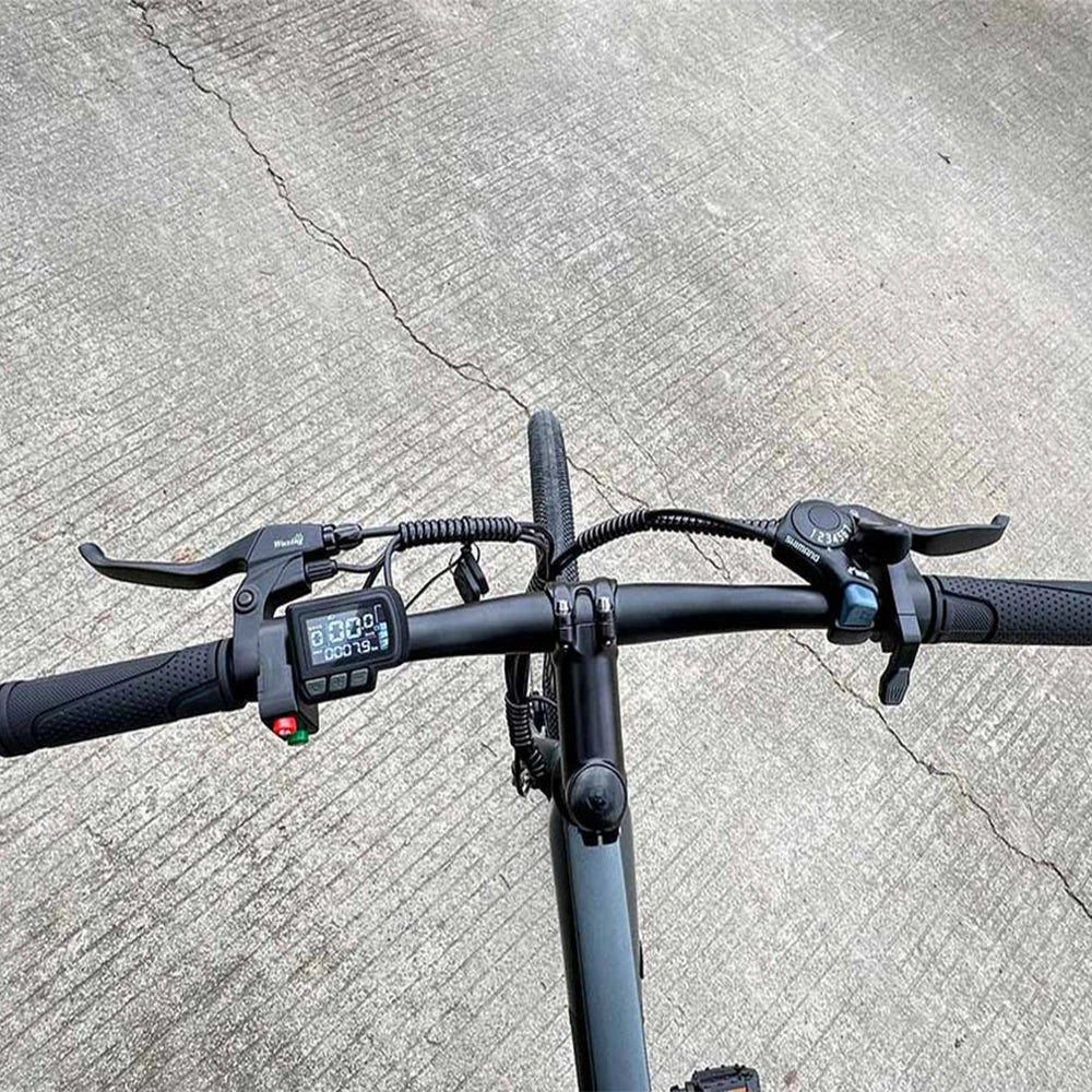 FREEGO Electric Bicycle For City Commuting 20MPH 500W Long-Range Motorbike 36V,7.8Ah Removable Battery