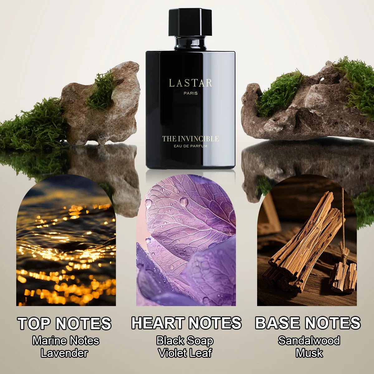 LASTAR Men Cedar Musk Perfume Long Lasting Fragrance