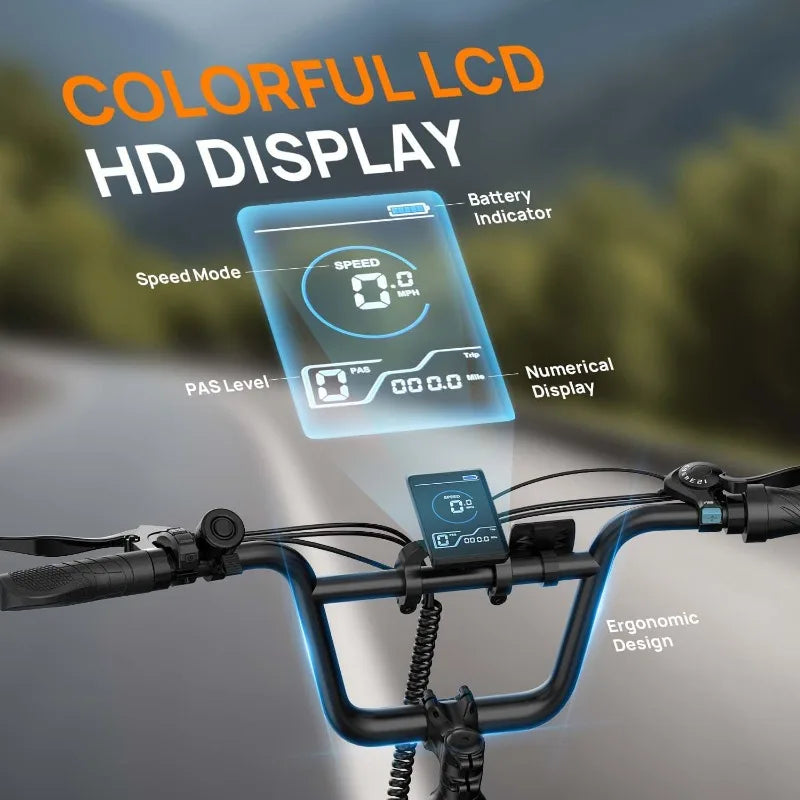 Hign Concerned Electric Bike For Adults 1000W Peak Motor